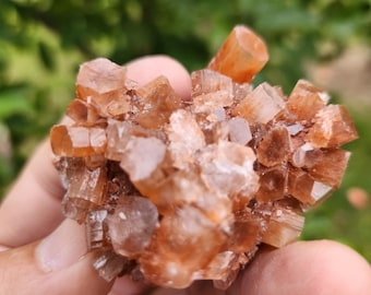 Ammasso di cristalli di aragonite dorata - Molto apprezzato per la sua forte connessione con