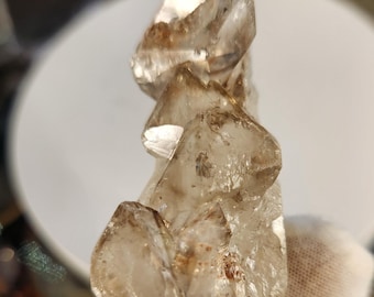 Elestial Quartz Crystal on Stand | Skeletal | Alligator Quartz | Natural Quartz Formation