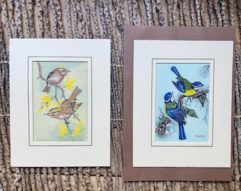 Two Vintage silk woven bird pictures matted and ready to frame, Cash’s of Coventry MCM, bird lovers gift, from salesman’s sample kit.