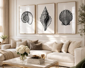 Zwart witte kustschelp muurkunst set van 3, vintage schelpafdrukken, decor nautisch strandhuis, kustgalerij muur, digitale download