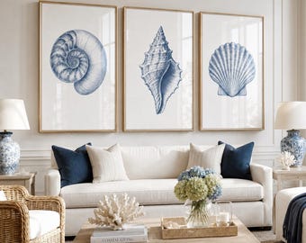Blue Coastal Shell Wall Art set van 3, Nautilus Conch Sint-jakobsschelp prints, vintage strandhuisdecor, digitale kustdownload