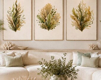 Olijfgroene kustdecoratie set van 3, botanische prints van zeewier, strandhuisdecoratie, neutrale kustgaleriewand, digitale download