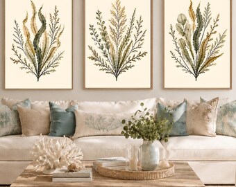 Juego de 3 láminas decorativas de algas marinas, láminas botánicas costeras, decoración de pared oceánica en verde oliva, obras de arte neutras para casas de playa, descarga digital.