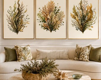 Olijfgroene kustdecoratie set van 3, botanische prints van zeewier, moderne kustdecoratie, muurdecoratie voor een strandhuis, digitale download
