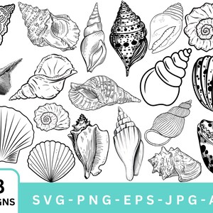 May include: A monochrome illustration of 18 seashell designs, showcasing diverse forms and patterns. The image presents a range of shells, including spiral and fan-shaped varieties. The bottom of the image displays the text "18 DESIGNS" and "SVG-PNG-EPS-JPG-AI".