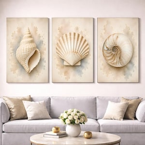 Puede incluir: Un conjunto de tres láminas de arte mural con ilustraciones detalladas de conchas marinas. La lámina de la izquierda muestra una concha en espiral, la central una concha en forma de abanico y la de la derecha una concha de nautilo.