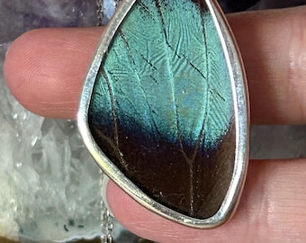 May include: A silver pendant necklace featuring a butterfly wing encased in a silver frame. The wing displays iridescent teal and dark brown hues, with intricate vein patterns. The pendant hangs from a delicate silver chain.