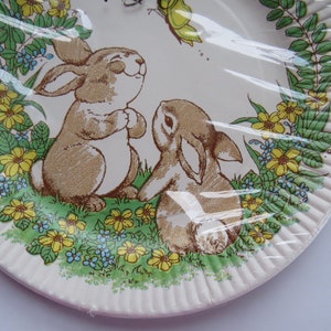 May include: A round, white paper plate with a decorative illustration of two brown bunnies in a field of yellow and blue flowers. A green butterfly hovers above the bunnies. The plate is wrapped in clear plastic.