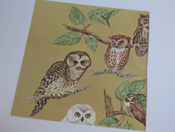 Vintage Unused Gift Wrap Sheet Owls Of Red Barn Studio Etsy