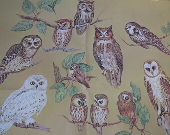 Vintage Quality Unused Gift Wrap Sheet  Wrapping Paper ~ Large Owls of Red Barn Studio