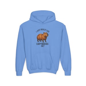 Cozy Youth Hoodie, Warm Pullover, Kids Hoody Sweatshirt, Comfortable Jumper, Soft Youth Outerwear