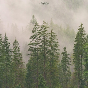 Weniger Lärm und mehr Bäume 8x10 druckbare Wandkunst | Tolkien Zitat | Nebliger Wald Natur Druck | Digitaler Download