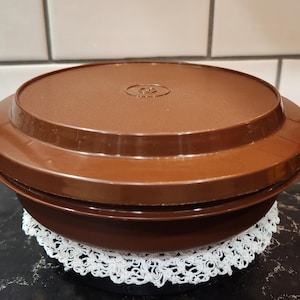 Vintage Tupperware Seal N Serve Harvest Brown Collectible Bowl Plate Container Retro 1970s Kitchen