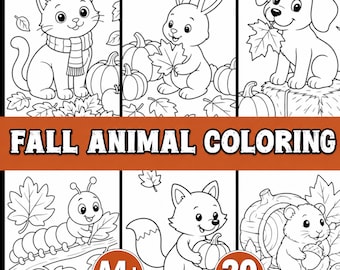 May include: A coloring book titled FALL ANIMAL COLORING featuring 20 pages of black and white line art illustrations of animals including a cat, rabbit, dog, caterpillar, fox, and hamster surrounded by autumn leaves, pumpkins, and acorns in A4+ US Letter size.