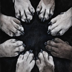Symmetrical Dog Paw Print