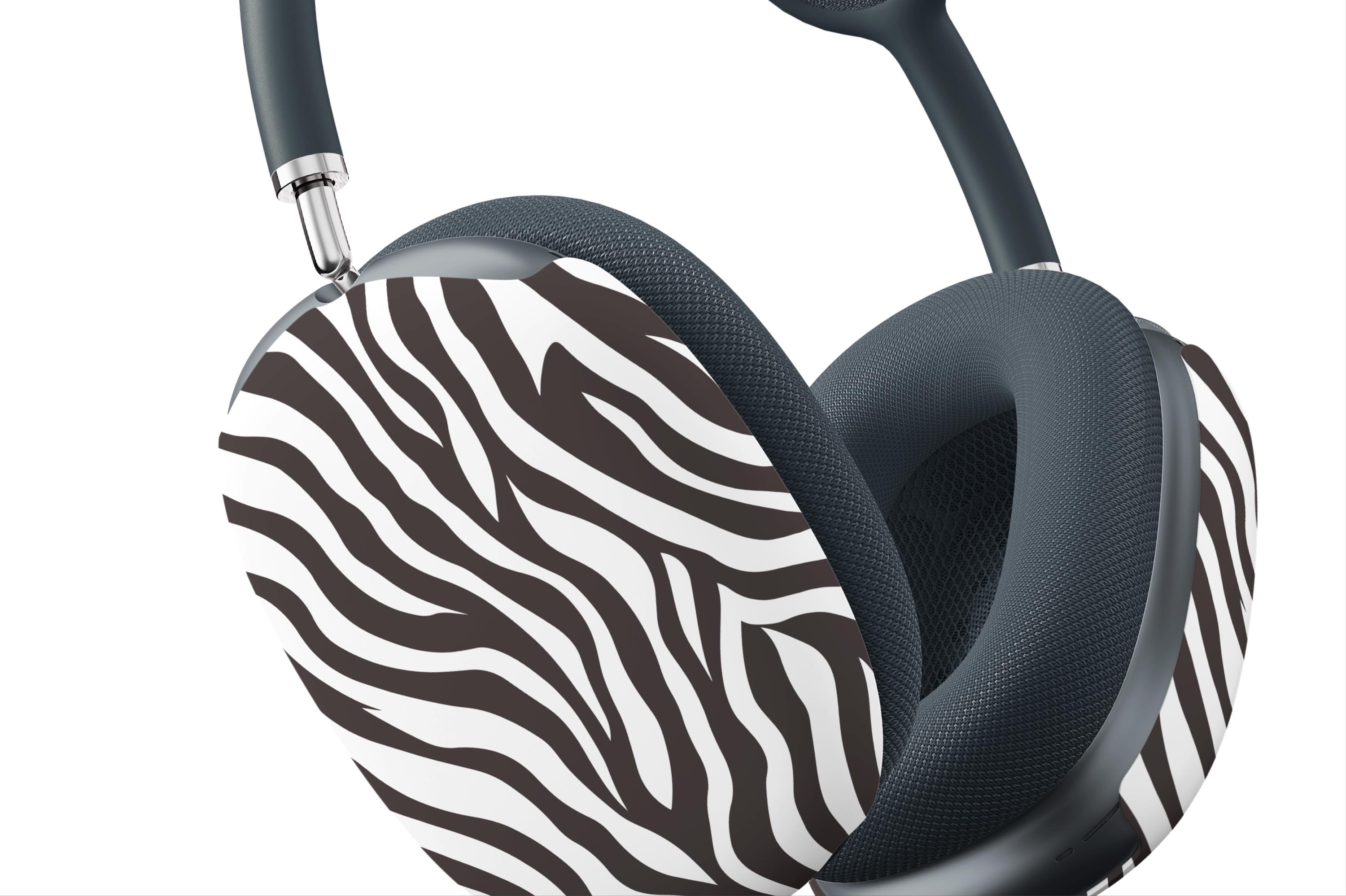 Zebra With Headphone