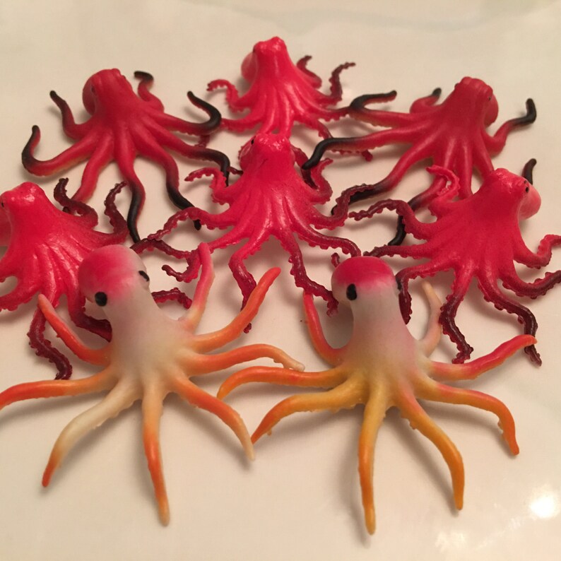Octopus Large Bath Candy Fun Ocean Party Idea Birthday Toy Etsy