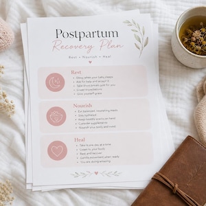 May include: A white paper document titled Postpartum Recovery Plan with sections for Rest, Nourish, and Heal. The text includes bulleted advice under each category, accompanied by pink circular icons featuring a moon, a bowl, and a heart graphic.