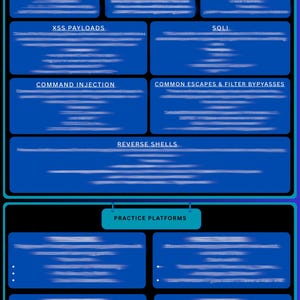May include: A blue graphic with text boxes labeled "Directory Traversal," "Wordlists," "Hash Testing," "XSS Payloads," "SQLi," "Command Injection," "Common Escapes & Filter Bypasses," and "Reverse Shells." The image also includes "Practice Platforms."