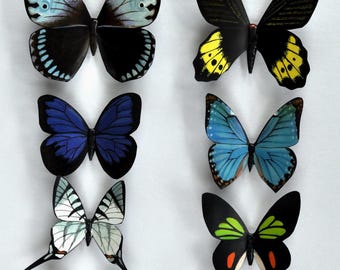 May include: A collection of colorful butterfly decorations in various sizes and patterns. The butterflies feature a range of colors, including blue, black, yellow, orange, and white, with detailed wing designs. Ideal for home decor or craft projects.