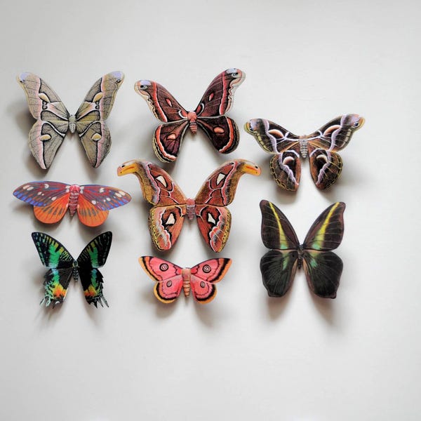 Moth Magnets Refrigerator Magnets Set of 8