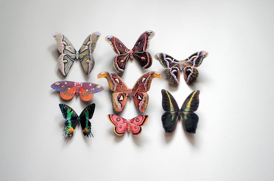 Decorative Fridge Magnets