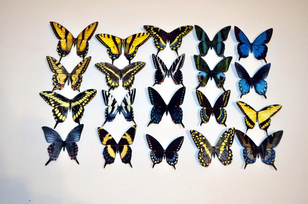 Sample Buttefly Ref Magnet Design Butterfly Magnets Refrigerator Magnets Swallowtails Set of 20 - Etsy