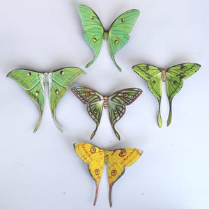 May include: Five decorative butterfly ornaments in shades of green and yellow. The butterflies have detailed wing patterns and long, slender tails. The background is plain white, highlighting the colorful insect designs.