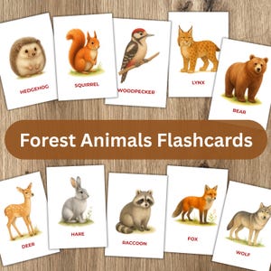 Forest Animal Flashcards for Toddlers - Printable Animals - Montessori-Inspired Learning PDF