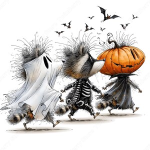 May include: A digital illustration of three raccoons walking in a line, dressed in Halloween costumes. One wears a white ghost sheet, one a black skeleton suit, and one a black cape with a large orange pumpkin head covering its own head.