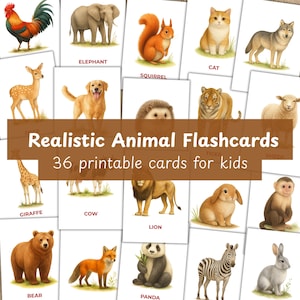 Pode incluir: Um conjunto de cartões de animais com ilustrações de galo, elefante, esquilo, gato, veado, cão, ouriço, tigre e ovelha. Os cartões são rotulados com os nomes dos animais. O texto "Realistic Animal Flashcards, 36 printable cards for kids" é visível.