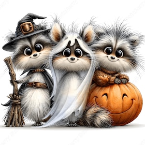May include: Three fluffy raccoons dressed for Halloween. One wears a black witch hat and holds a broom, one is draped in a white ghost sheet, and the third sits atop a large orange pumpkin with a carved smiling face. All have large dark eyes.