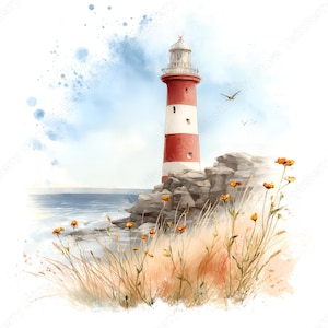 Può includere: Dipinto ad acquerello di un faro a strisce rosse e bianche, appollaiato su una scogliera rocciosa. La scena comprende onde dell'oceano, cielo blu e fiori selvatici arancioni. Due gabbiani volano in lontananza.