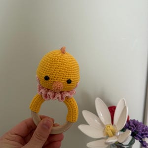 Handmade Crochet Baby Rattle