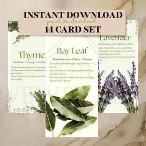 Digital Herb Card Set | Botanical & Metaphysical Reference Prints | Herbal Magic, Holistic Healing, Apothecary Plant Guide Printable