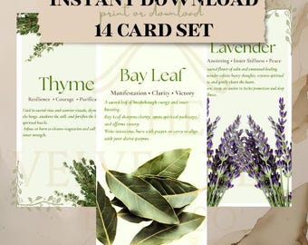 Jeu de cartes numériques pour herbes aromatiques | Impressions botaniques et métaphysiques de référence | Herbal Magic, Guérison holistique, Guide des plantes d'apothicaire imprimable