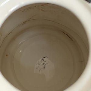 以下が含まれることがあります： 白いセラミック容器の内部をクローズアップ。広い開口部があります。内側は薄いベージュ色で、いくつかの暗いマークと底に暗い斑点があります。容器の縁には白と黒のデザインがあります。