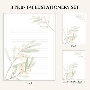 Printable Stationery Set – 3 Pages – Lined, Blank – Plant Design – Letter, A4, A5 Sizes – Instant Download, YF100