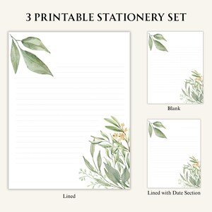 Printable Stationery Set – 3 Pages – Lined, Blank – Floral, Flower, Plant Design – Letter, A4, A5 Sizes – Instant Download, YF100