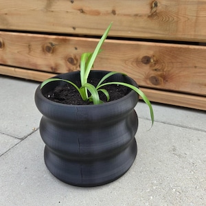 Puede incluir: Una maceta negra con un diseño curvo único. La maceta contiene tierra y una pequeña planta verde con hojas largas y delgadas. La maceta está sobre una superficie gris, con un fondo de madera.