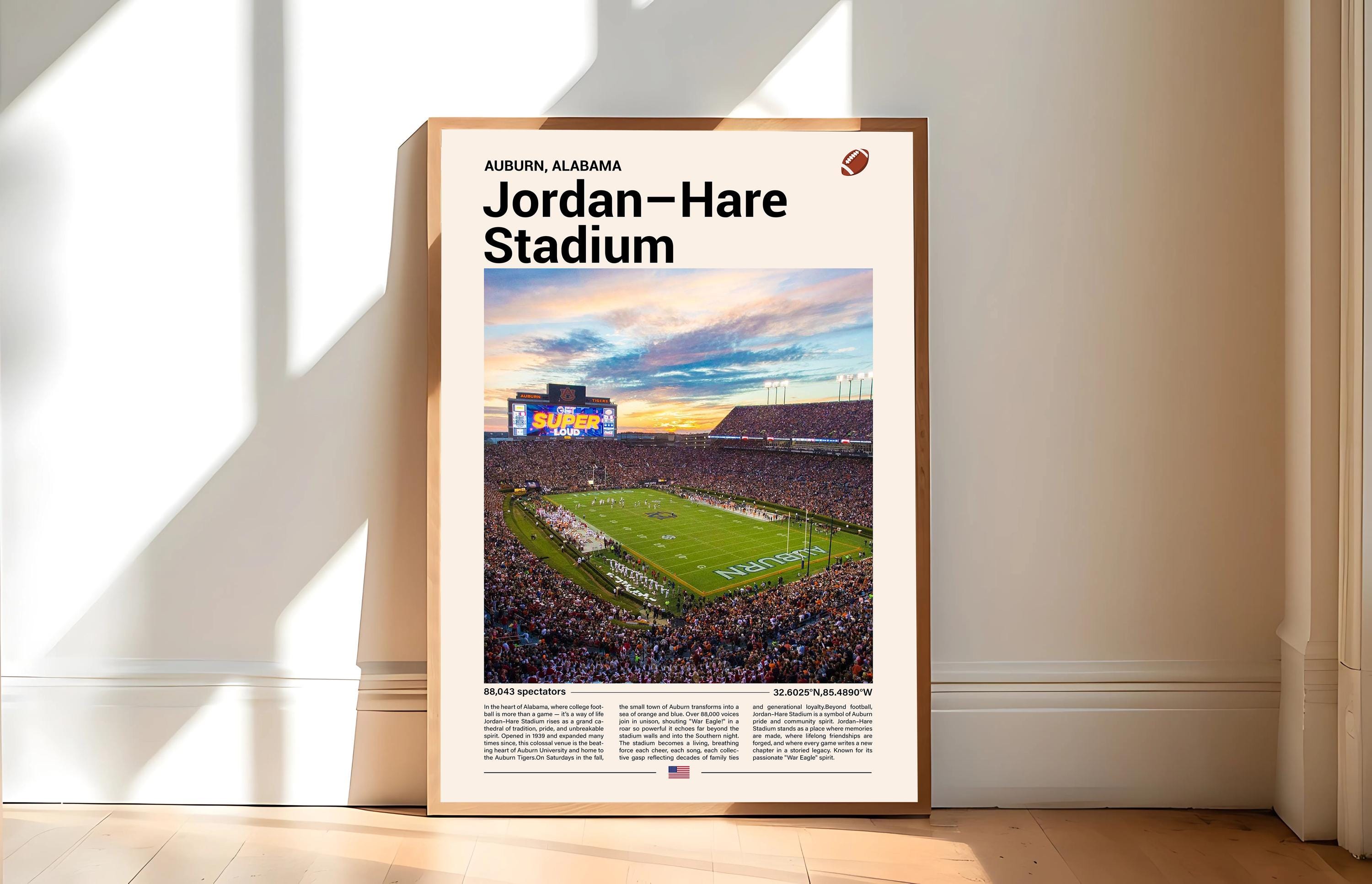 Ryses Sweat Capuche Chicago Bulls Jordan Hare Stadium Canada