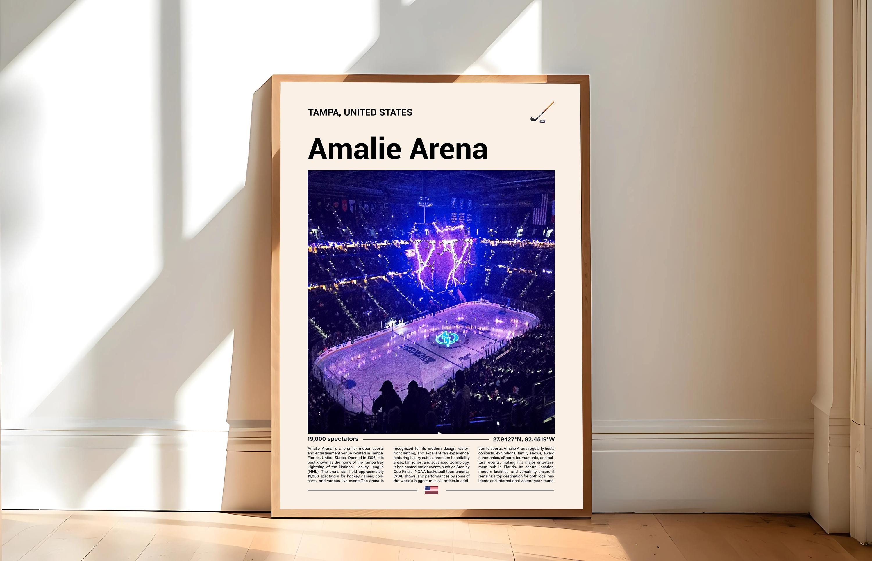 Bay Lightning Bruins Game Live Free Suite Tampa Bay Lightning