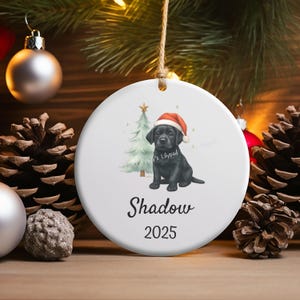Personalized Pet Ornament, Black Lab Ornament, Custom Dog Ornament, Christmas Lab, 2025 Pet Memory, Gift for Dog Lovers
