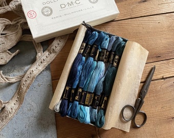 Caja de hilo de bordar DMC francés, madejas de hilo de algodón sin usar, tonos azul/gris/plata #806