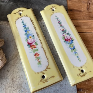 Vintage french Limoges porcelaine door plates  Fingers plates  One pair
