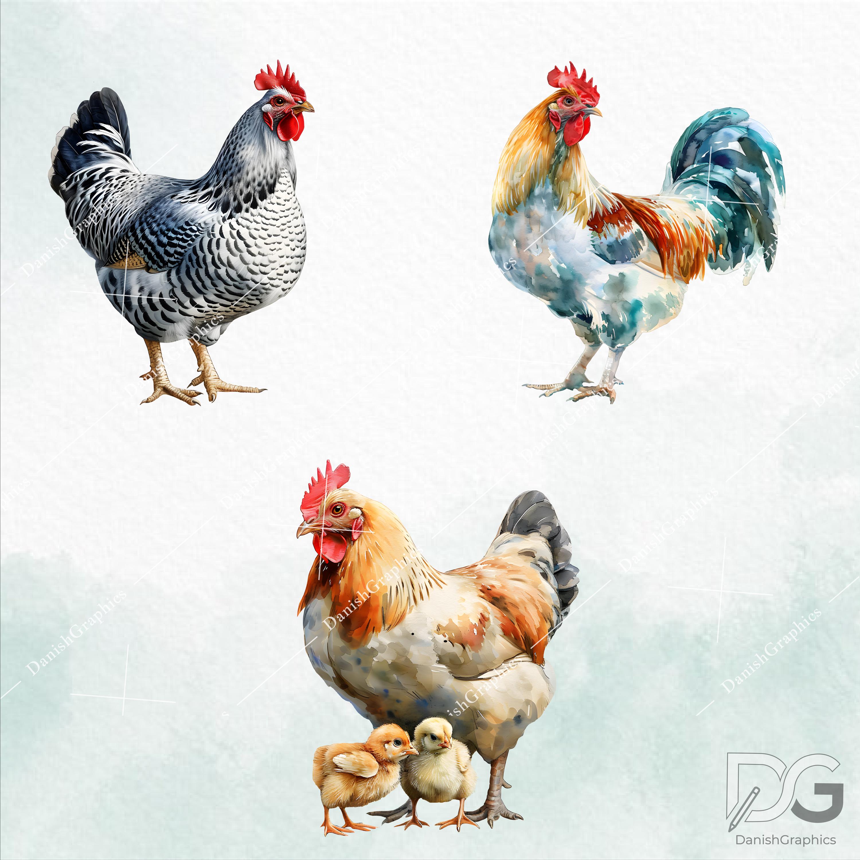 Chicken Farm Watercolor Clipart, Farm Animal PNG Images, Country Art ...