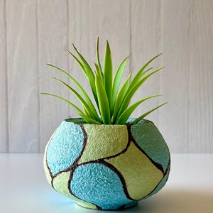 Pode incluir: Um pequeno vaso decorativo redondo com uma superfície texturizada. O vaso é pintado com um padrão de formas azuis e verdes delineadas em castanho. Contém uma planta verde e espinhosa.