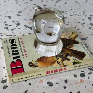 Spode Crystal Glass Owl Paperweight MCM Midcentury Vintage Glass Collectible Glass Bird Shaped Desk Decor Office Accessories