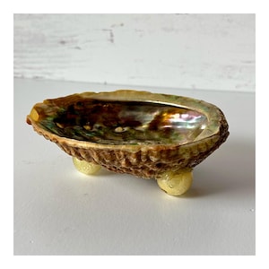 May include: An oval-shaped abalone shell dish featuring a natural, iridescent interior with swirling green, purple, and gold tones. The exterior has a rough, textured brown surface, and the dish is supported by three small, smooth, pale yellow feet.