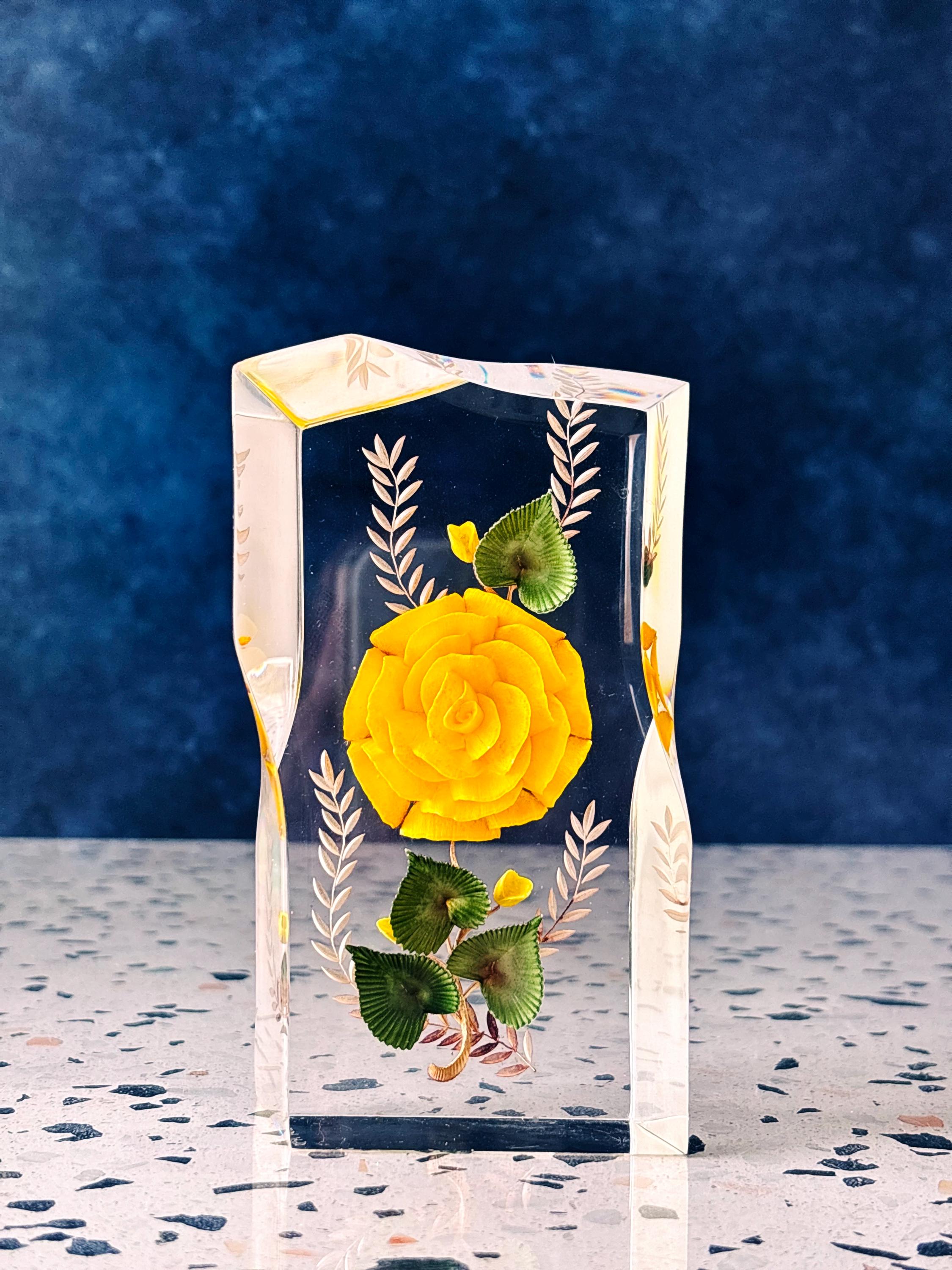 Bircraft lucite - Etsy 日本